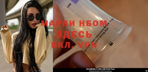 стаф Арсеньев