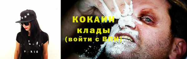 стаф Арсеньев