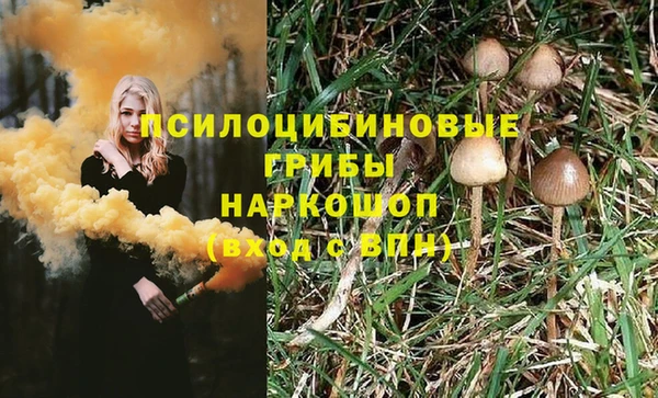 стаф Арсеньев